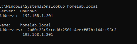 nslookup output resolving the domain